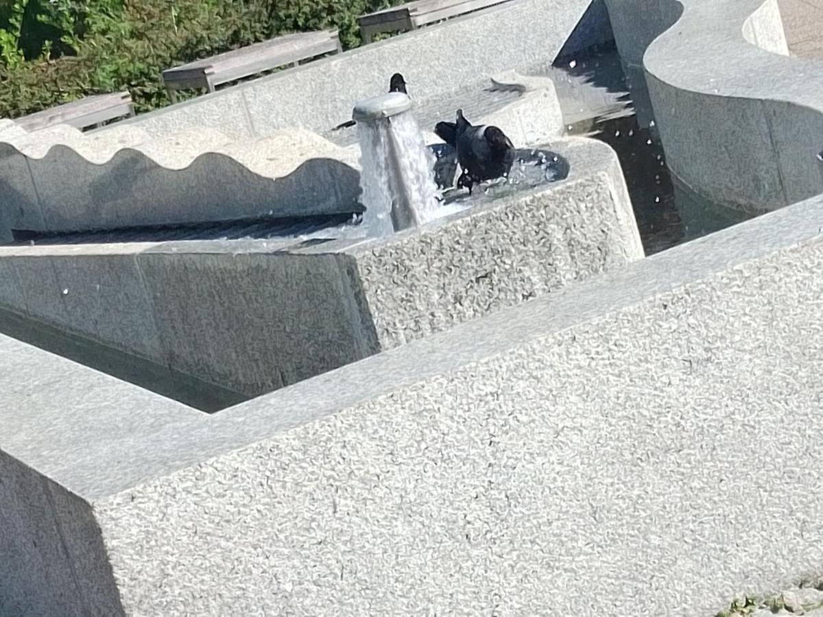 Dreapart Pruszcz Gdanski Bagian luar foto